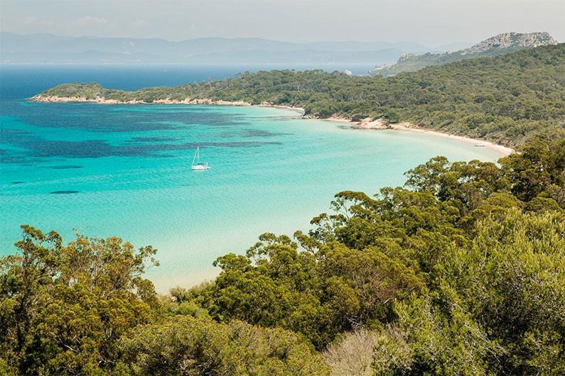 Joli studio entre la mer et la ville Hyères Extérieur photo